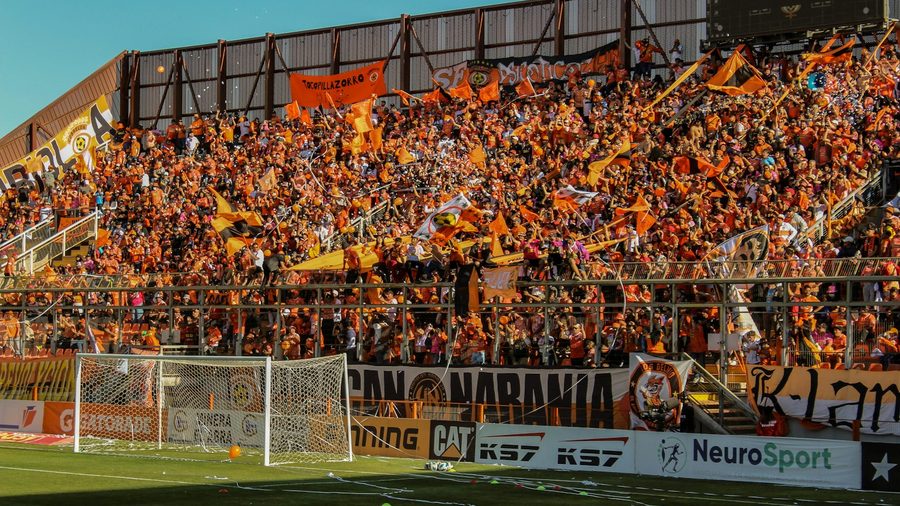 2026世界杯赔率 APP — 营业执照与资质公示示意配图